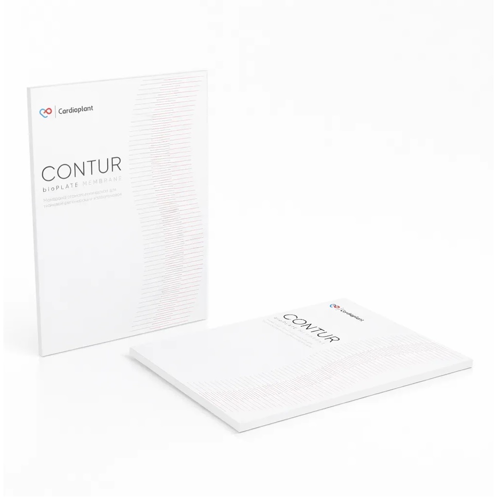 Мембрана bioPLATE CONTUR 15х20мм, MBC-15